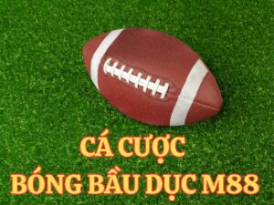 cá độ bóng bầu dục m88