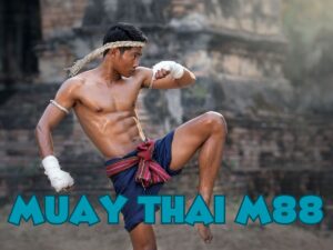 cá cược muay thái m88